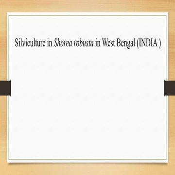 Silviculture of sal tree