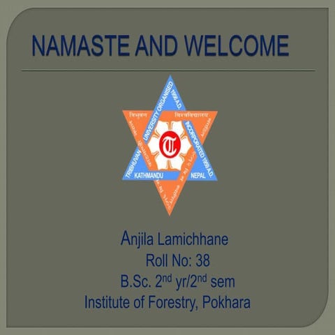 Silviculture presentation