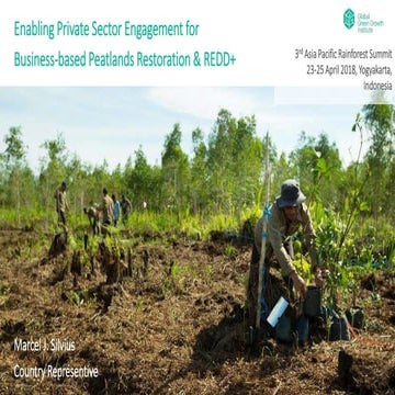 Enabling private sector engagement for business-based peatlands restoration &...