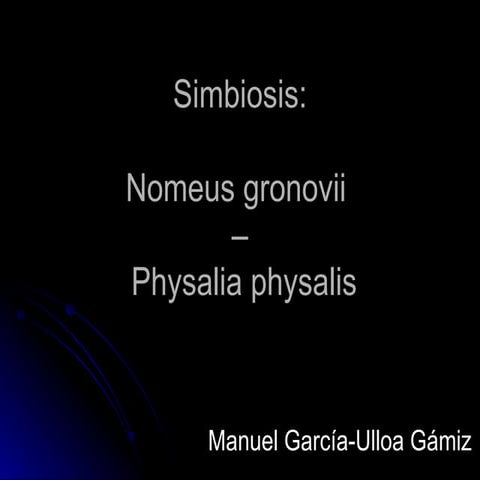 Simbiosis: Physalia physalis y Nomeus gronovii.