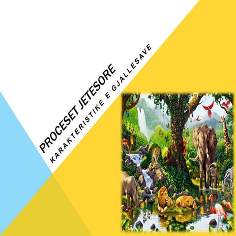 Rruazoret | PPTX