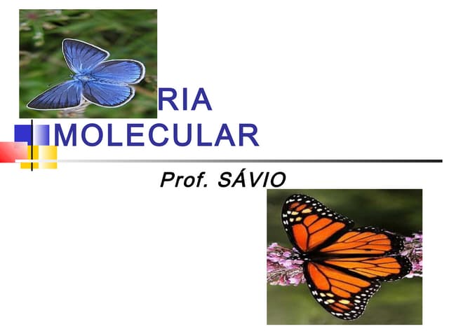 Simetria molecular e grupo de ponto[1]