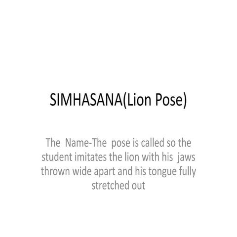 Yoga Lion main image 0