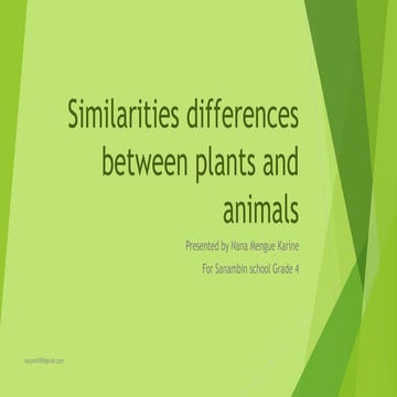 Similarities and differences between plants and animals 