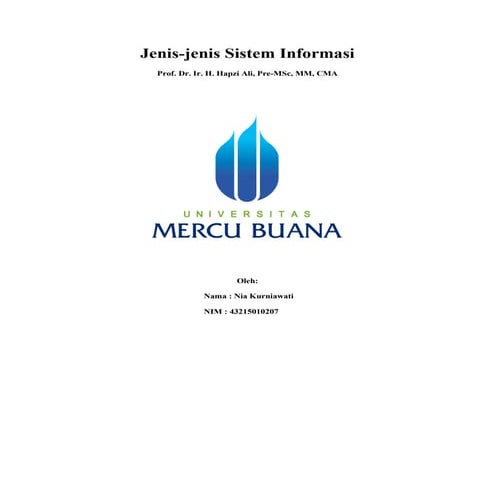 Sim, nia kurniawati, hapzi ali, jenis jenis sistem informasi manajemen