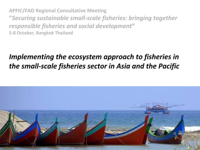 Implementing the ecosystem approach to fisheries in the small-scale fisheries sector in Asia and the Pacific
