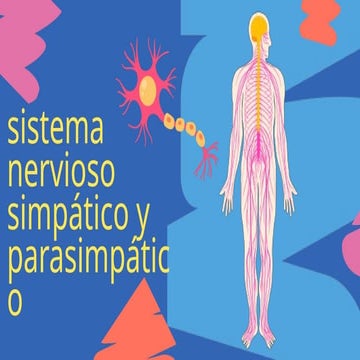 Ganglios sistema simpatico parasimpatico.pptx