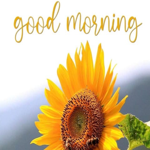 Simple and Compound Interest.ppt hahhahahahx