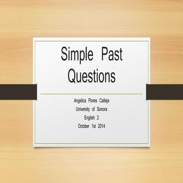 Simple past questions