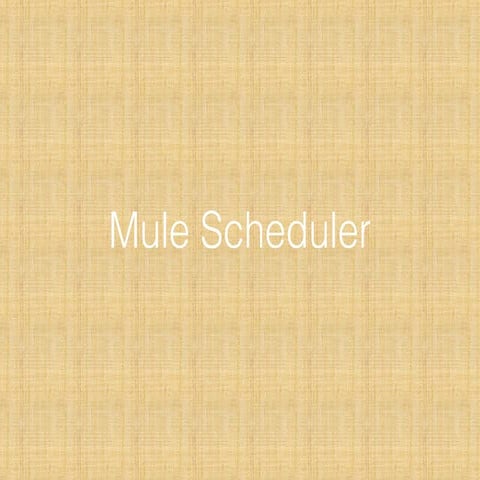Mule schedule