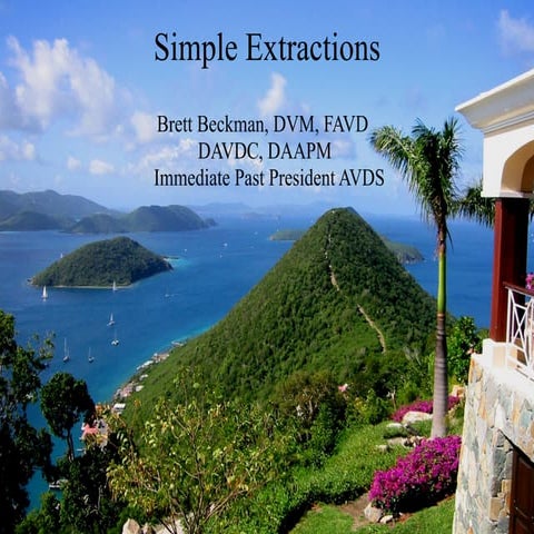 Simple & Surgical Extractions in Veterinary Dentistry for Dogs and Cats