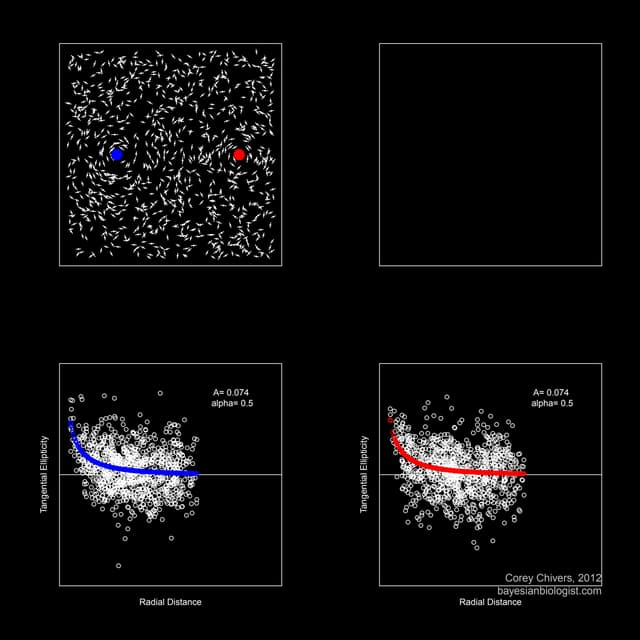 Weak Lensing Simulator