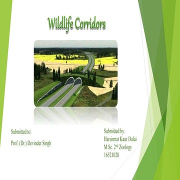Wildlife Corridors