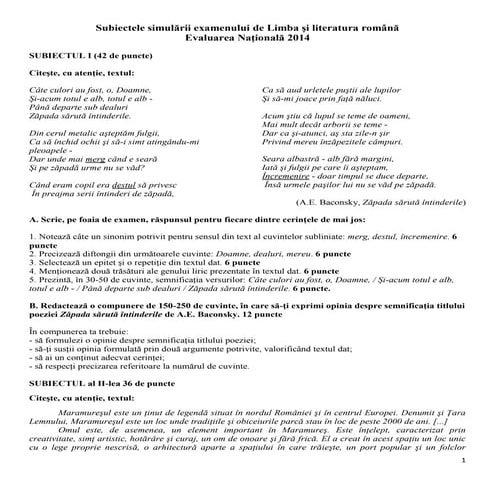 Simulare EN 2014 romana