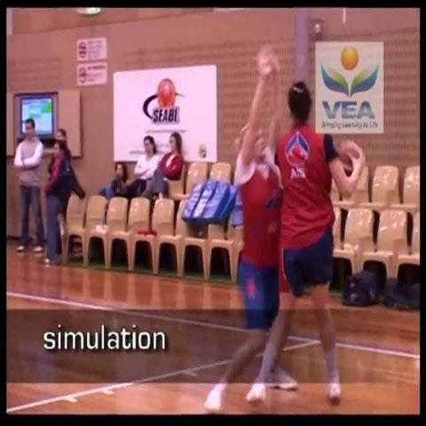 Simulation video | PPT