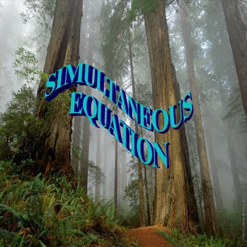 Simultaneous equation