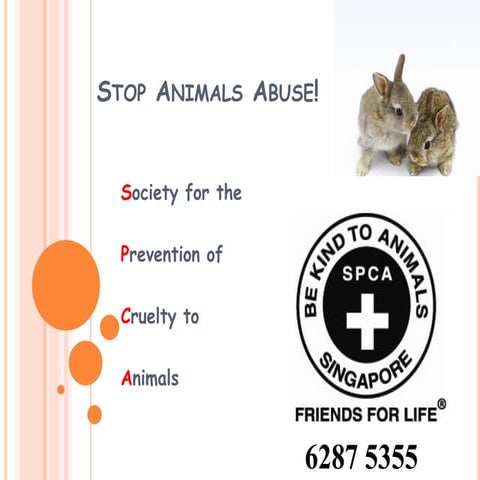 Sin eng-46 - pet ranger stop animals abuse!