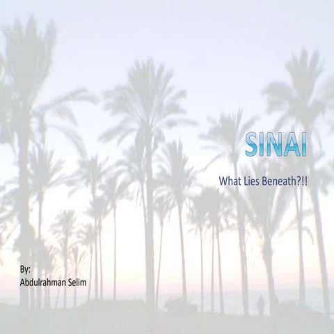 Sinai presentation