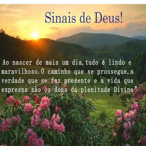 Sinais De Deus!/Elaine/Coloniasespirituais
