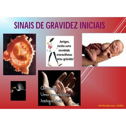 Sinais de Gravidez - Profº Neivaldo Lúcio | PDF