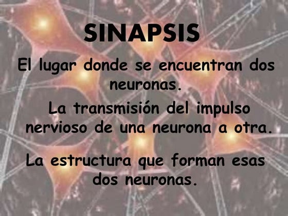Anatomy-Nervous-System for grade 10 learners .ppt
