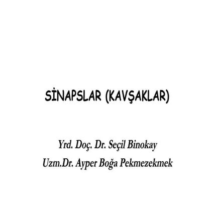 Si̇napslar (kavşaklar)
