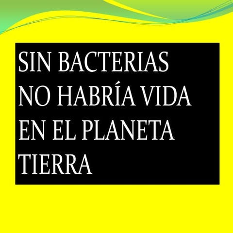 Sin bacterias no hay vida