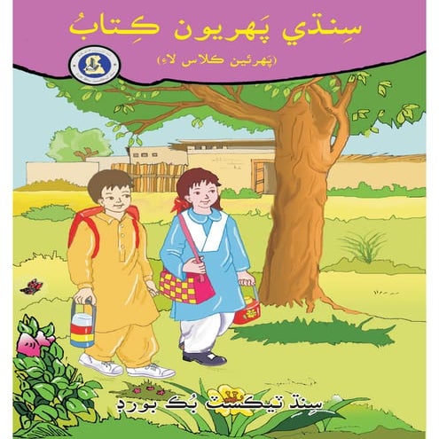 Sindhis visual data 3