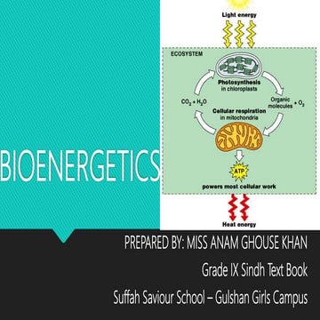 Sindh textboard chapter bioenergetics
