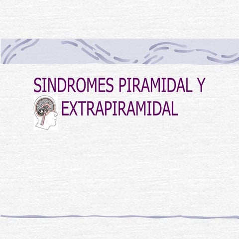 Sindrome Piramidal