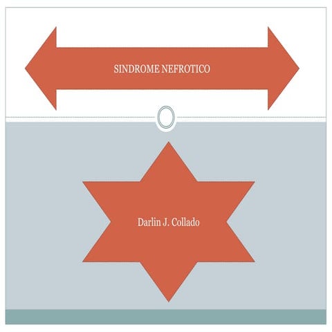 Sindrome nefrotico  glomerulopatias 