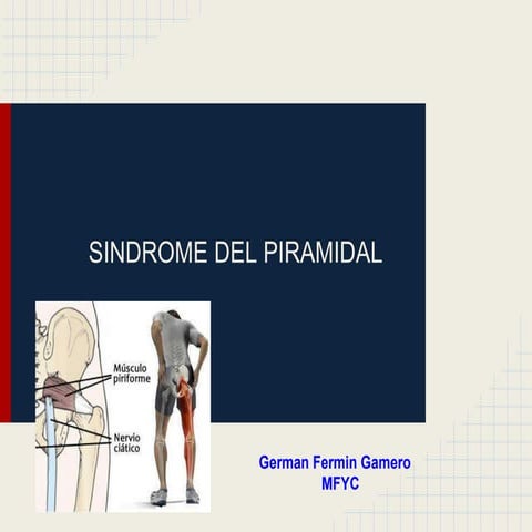 Sindrome piramidal , musculo piramidal 