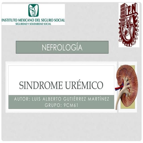 Sindrome Uremico en Enfermedad Renal Cronica