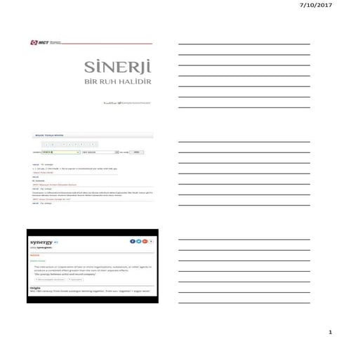 Sinerji bir ruh halidir tanyer sonmezer