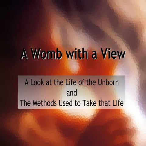 Singapore abortion facts