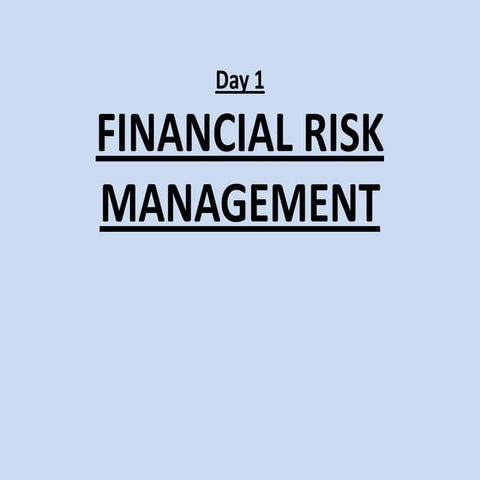 Financial Risk Management Strategies