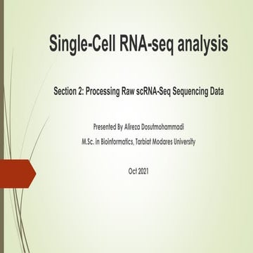 Processing Raw scRNA-Seq Sequencing Data