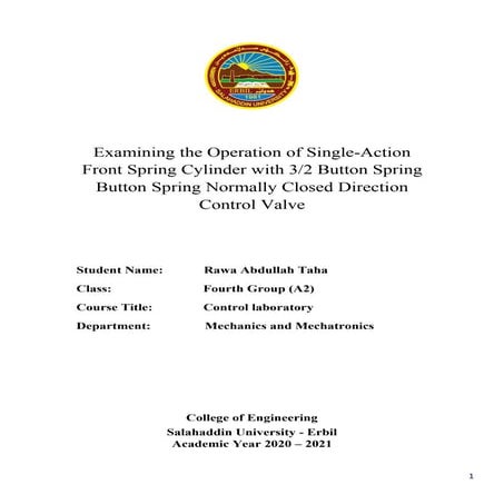 Single action cylinder