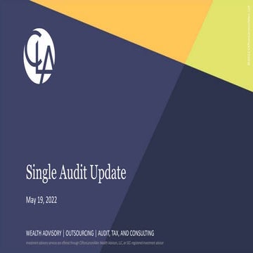 SingleAuditUpdate.pptx