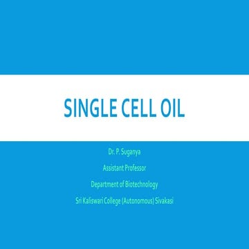 Single cell oil
