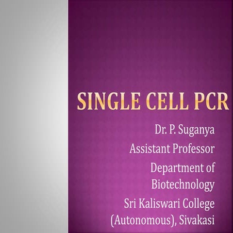 Single cell pcr