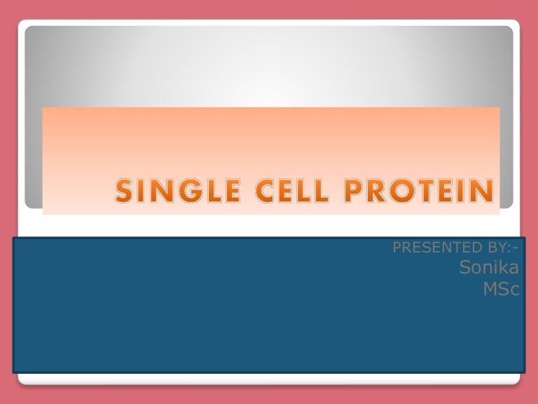 Single cell protein