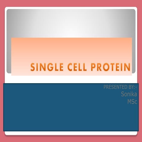 Single cell protein 