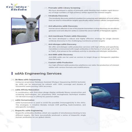 Single domain antibody discovery and engineering 2 | PDF