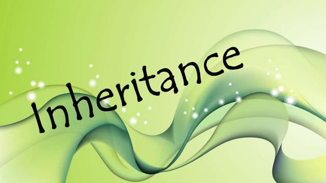 Single inheritance
