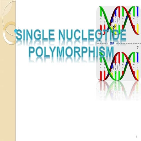 singlenucleotidepolymorphismhhh-141117070943-conversion-gate01.pptx