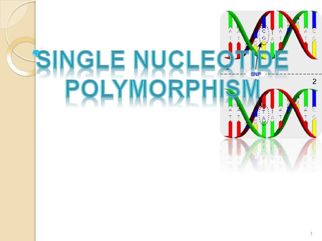 Single nucleotide polymorphism, (SNP) | PPT