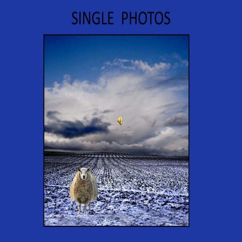 Single Photos | PPSX