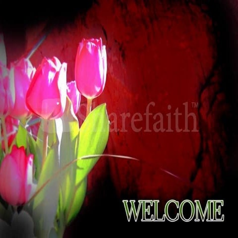 Single seed descent method