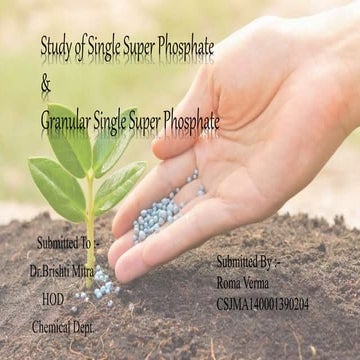 Single super phosphate